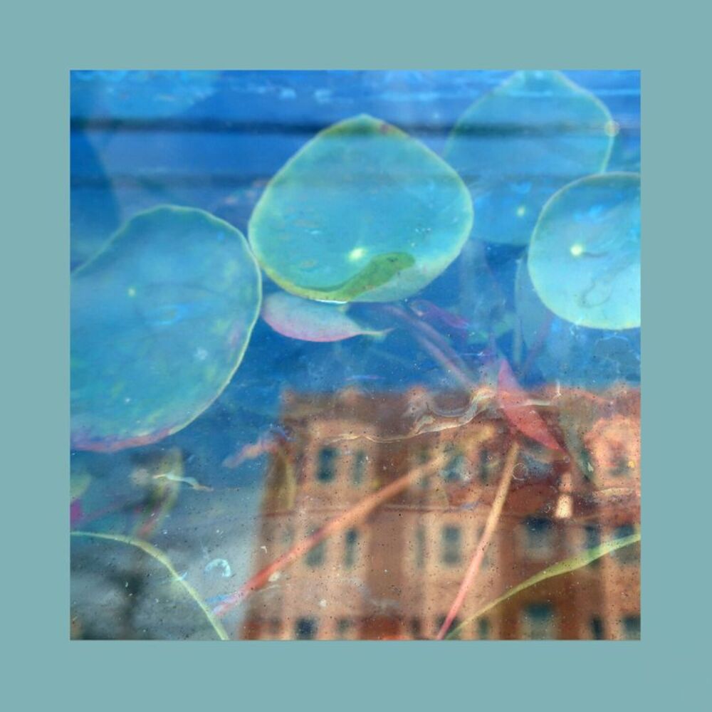 The Reds, Pinks & Purples - Acknowledge Kindness  CD